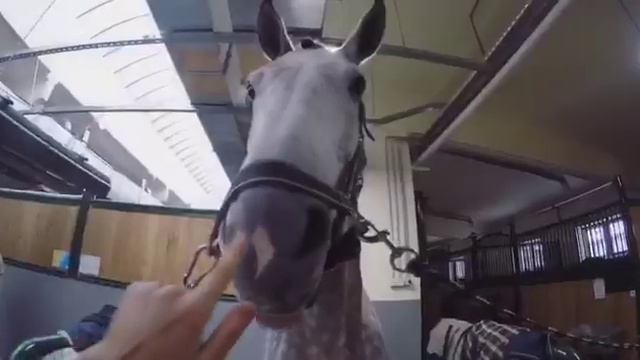 Маршрут глазами спортсмена! смотреть онлайн