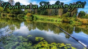 РЫБАЛКА НА ПОПЛАВОК! ОТБОРНАЯ ПЛОТВА, ПОДЛЕЩИК И ДАЖЕ ЯЗЬ ОСЕНЬЮ!