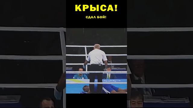 Актер больших и малых театров. Синий боксер разочаровал своих знакомых , тренера и отца.