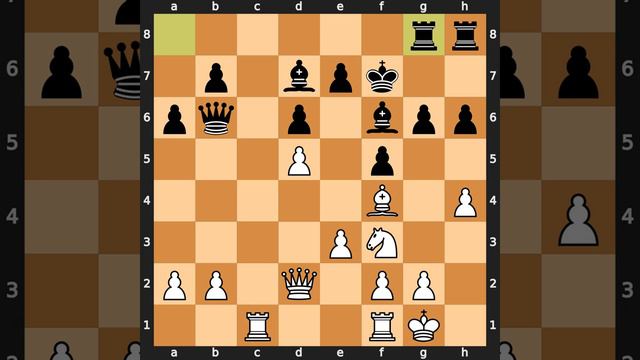 Volf Bergraser-Bent Larsen, Monte Carlo 1967, Result: 0-1 смотреть онлайн