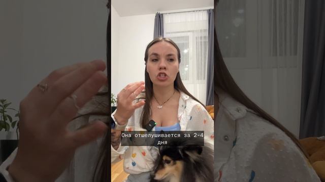 Чтобы защитить вашу собаку от укусов клещей, следуйте этим простым рекомендациям: