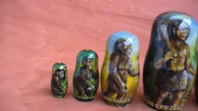 Эволюция человека. Дарвин