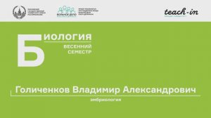 2. Оогенез. Эмбриология - Голиченков В. А. Teach-in.