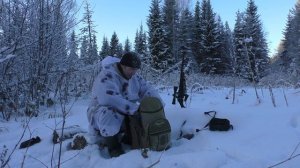 Охота с Лайкой на Белку. Рябчик завис на ветках!