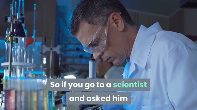 What Is The Butterfly Effect ? смотреть онлайн