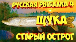 Русская Рыбалка 4, Место ловли крупной Щуки 5 кг #русскаярыбалка4 #russianfishing4