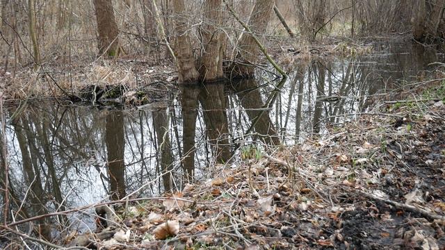 MadSmutje - Antwort an Erwin ( Proletopia ) #1.1 смотреть онлайн