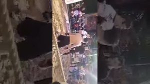 Фирдавс файзов савхози файзали