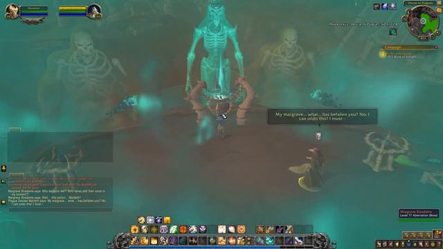 Shadowlands Quest 138: Fit For a Margrave (WoW, human, Paladin) смотреть онлайн