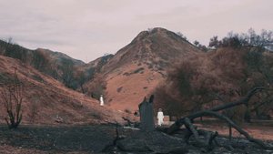 Мумий Тролль — Жимолость (Raveyards Remix)