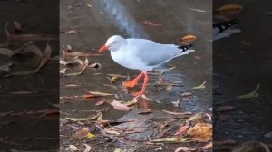 14 сентября 2024 г.