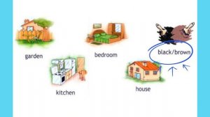 Spotlight 2 Модуль 1 (2a) стр 30 слова. Where's Chuckles?