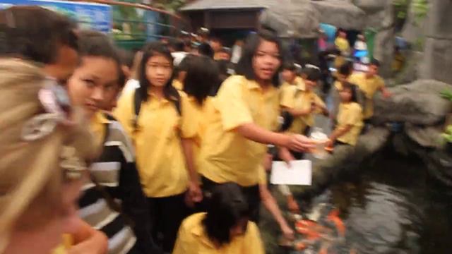 Рыбы, которые пьют молоко из соски смотреть онлайн