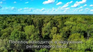 Коттеджный поселок Sportville 2 - Август 2024
