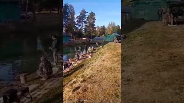 подборка поимок сегодня утром