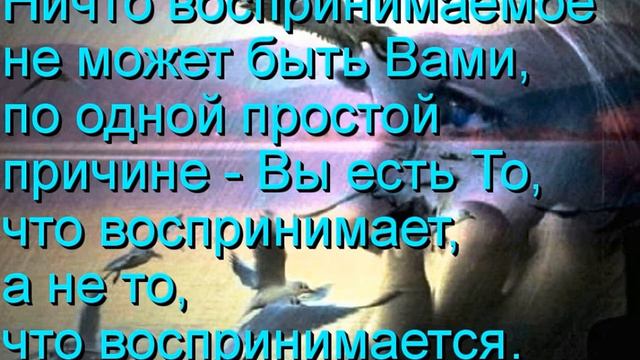 Всё является содержанием сознания, а не самим сознанием