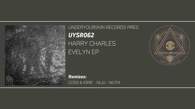 Harry Charles - Questions [UYSR062] #harrycharles #underyourskin #uysr062 #coss #iorie #niju #nutia смотреть онлайн