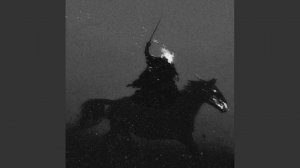 SAPFIR MADE IT - NO FEAR