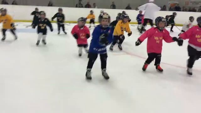 LHS Växjö Lakers HockeyStars смотреть онлайн