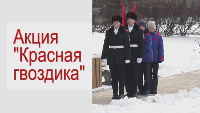 красная гвоздика 2 12 22