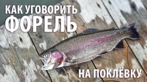 Как уговорить форель на поклёвку? Что такое приманка "доширак"?