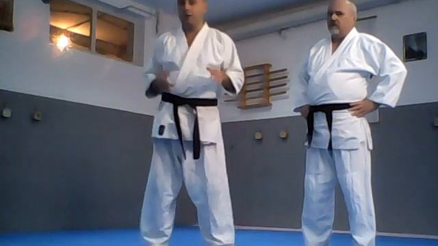 Aikido YOSHINKAN Bijeljina смотреть онлайн