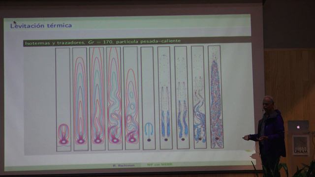 Mecánica de fluidos computacional con el método de la ecuación de Boltzmann en redes( Raúl Rechtman смотреть онлайн