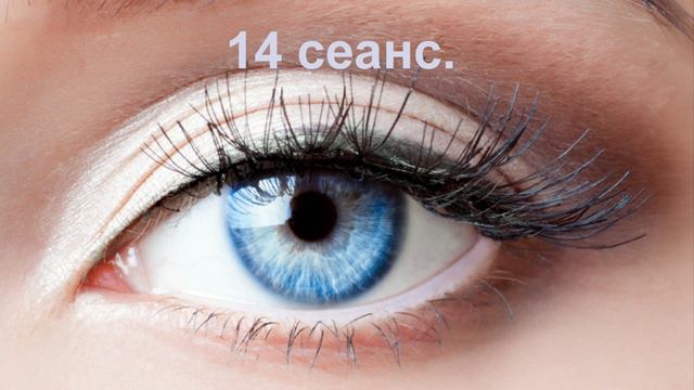 14 сеанс.