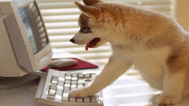 РЕДАКТОР КОДА ДЛЯ ГИГАЧАДОВ —VIM: ГАЙД + ФУЛЛ НАСТРОЙКА смотреть онлайн