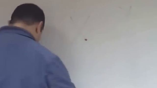 Genetics смотреть онлайн