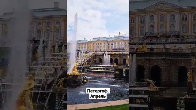 Петергоф. Апрель 2023 #shorts #shortvideo смотреть онлайн