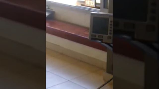 Anton bonke rowing in door. смотреть онлайн