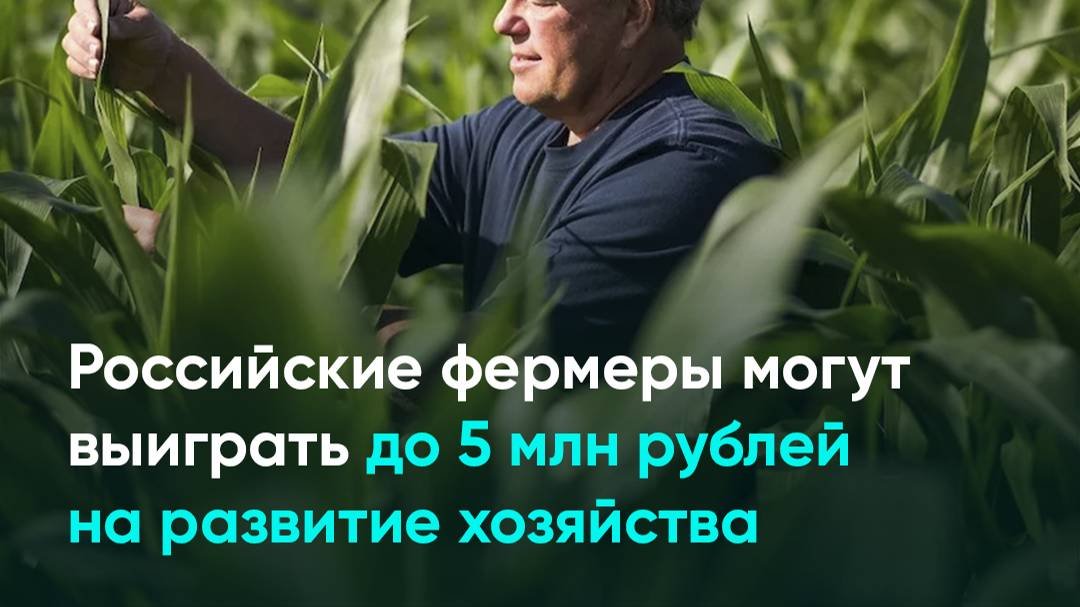 Российские фермеры могут выиграть до 5 млн рублей на развитие хозяйства