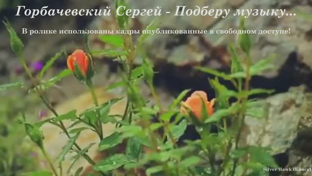 Горбачевский Сергей - Подберу музыку...