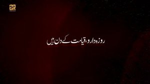 ابن ملجم نے حیدر ع کو مارا روزہ دارو قیامت کے دن ہیں//  Maisam Abbas Noha