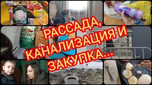 03.2024 Закупка__Забилась канализация__Первые посадки...