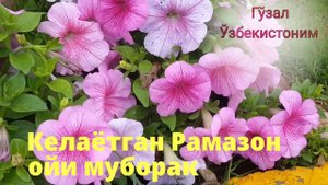 Бир дақиқа эшитиб кўринг ,,, фойдали видеони 👍босиб тарқатинг ва савобига шерик бўлинг,,