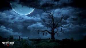 The Witcher 3 Wild Hunt - The Vagabond Music Extended