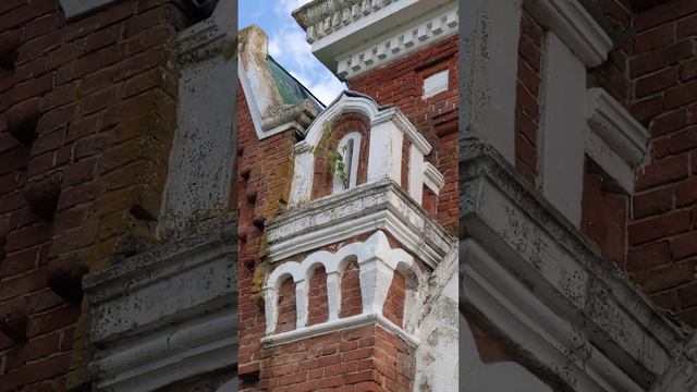 Деревья способны расти и на камнях