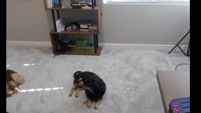 Otto's Mediocre Adventure - Jerma Highlights (Otto Stream) смотреть онлайн