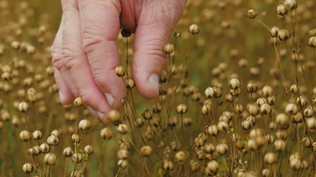 Showreel VRSUS FILM смотреть онлайн