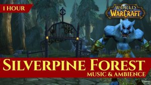 Vanilla Silverpine Forest - Music & Ambience (1 hour, 4K, World of Warcraft Classic)