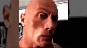 Скала мем mp4