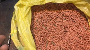 Идея Для Бизнеса! Гранулированная Прикормка Для Рыбы! Рыболов Отдыхает! Granulated Bait For Fish!