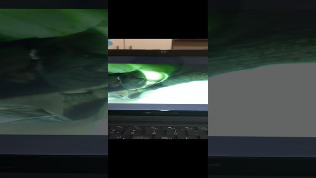 Мультик из X16 смотреть онлайн