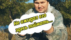 Что что, а это, не ожидал здесь поймать... Рыбалка на реке Быстрая Сосна осенью