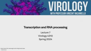 Virology Lectures 2024 #7_ Transcription and RNA processing