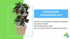 АгроБашня. Отвечаем на вопросы. Часть 2
Сколько электроэнергии потребляет?
Как работает полив?
#сад