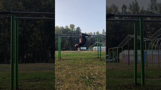 Параллельные брусья 20240917