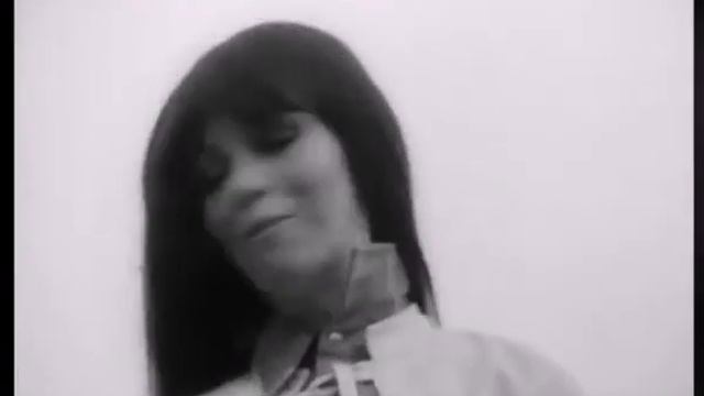 spede incel смотреть онлайн